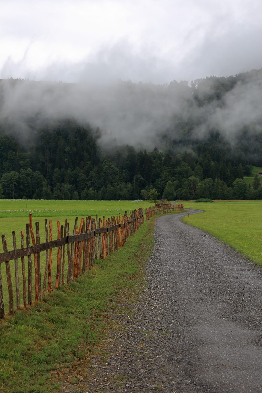 Bizau, countryside_1715