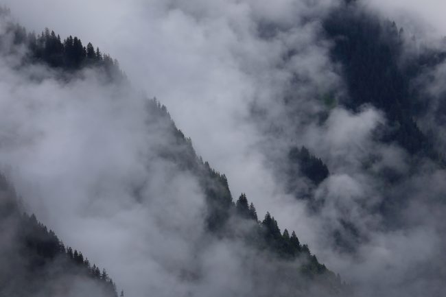 Garfrescha_6597