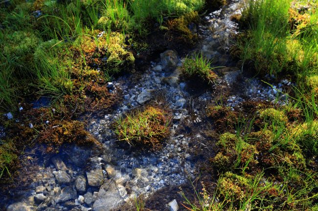 Lech-The-Lechweg_1685