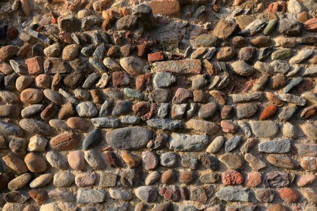 IMG_2520