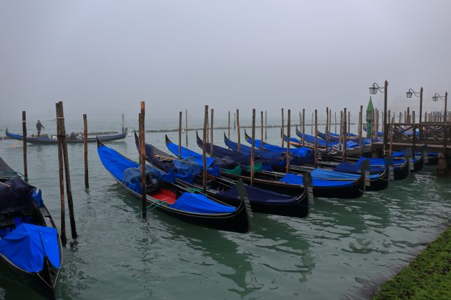 Venezia – Bacino di San Marco_7492