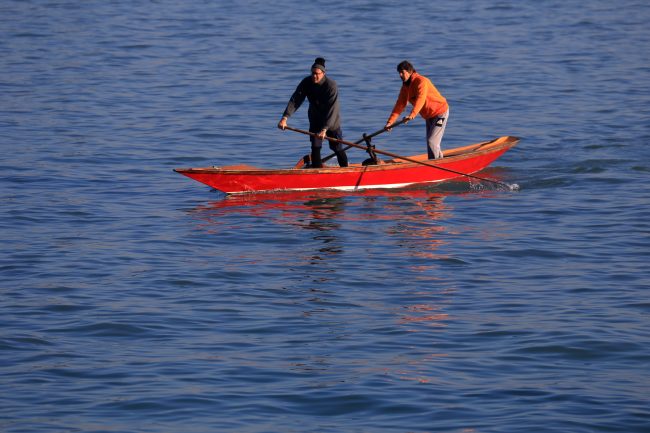 Venezia – Sciopon (typical rowing boat) in Fondamenta nuove_0547