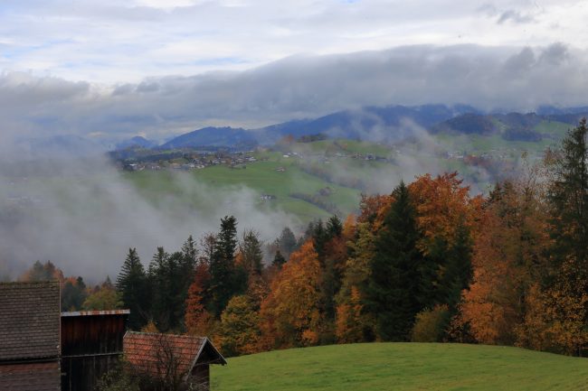 Bregenzerwald, autumn leaf color, foliage_5163