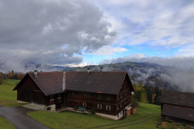 Bregenzerwald, autumn leaf color, foliage_5164