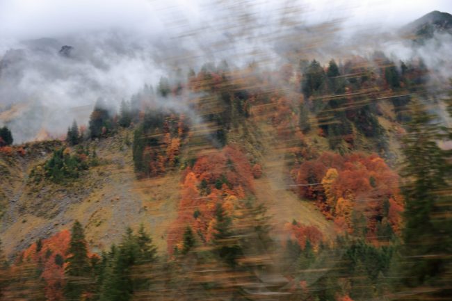 Bregenzerwald, autumn leaf color, foliage_5193