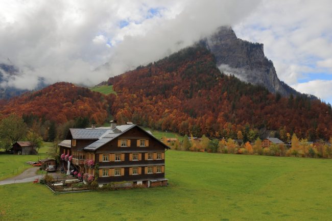 Bregenzerwald, autumn leaf color, foliage_5214