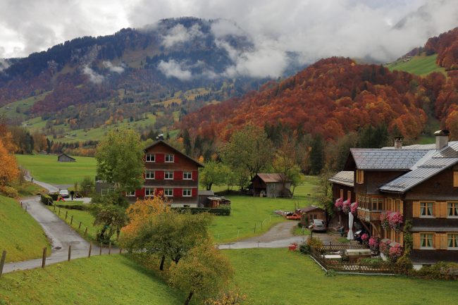 Bregenzerwald, autumn leaf color, foliage_5216