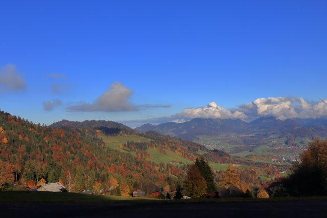 Bregenzerwald, autumn leaf color, foliage_5226
