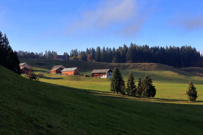 Bregenzerwald, autumn leaf color, foliage_5229